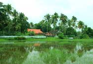 Sree Thrippayya Trimoorti Temple